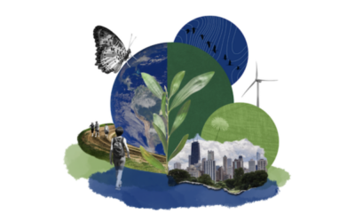 Connecting Demographic Change to Planetary Health: Winners of the Demographics and Planetary Health Story Prize